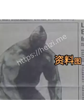 掀翻汽车