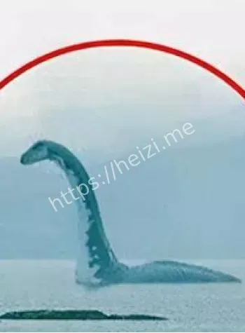 巨型水怪