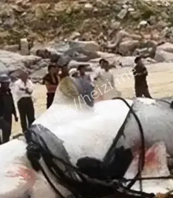 黑子网爆料