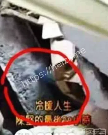 黑子网爆料
