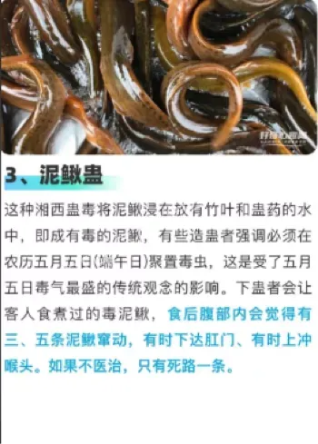 蛊师传承