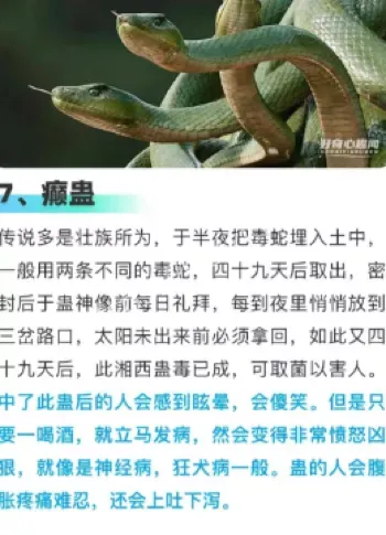 神秘毒术