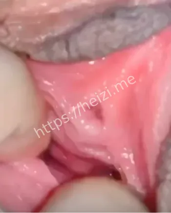 清纯学霸反差