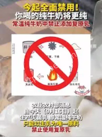 常温纯牛奶