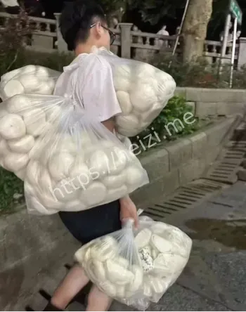 桦加沙