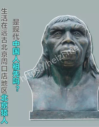 火烤饮食革命
