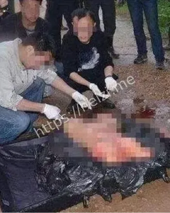 时间线解析