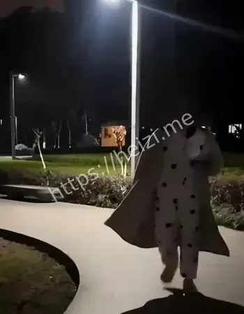 法律特权阶级