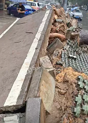 沿海地区狼藉