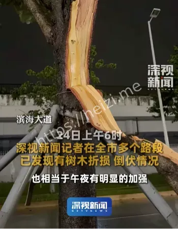 超强台风