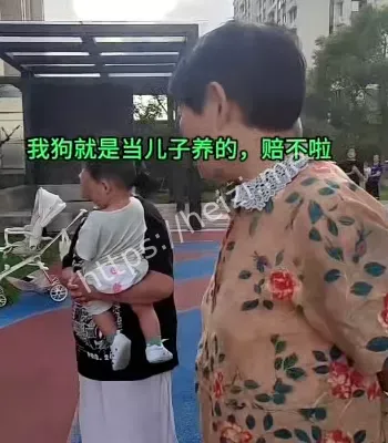 狗吓到孩子