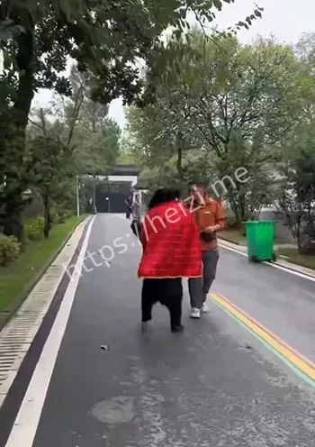 安徽宣城