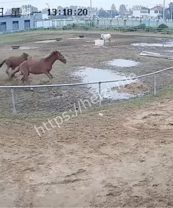六安马场