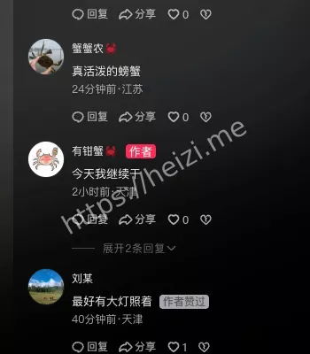 捡蟹一晚十斤