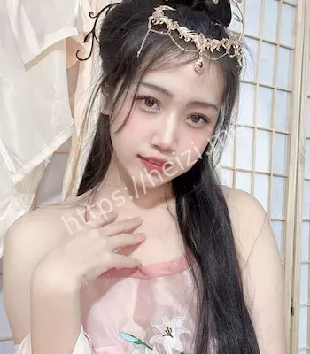 不呆猫