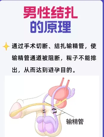 婚姻观念