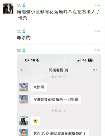 杀妻案