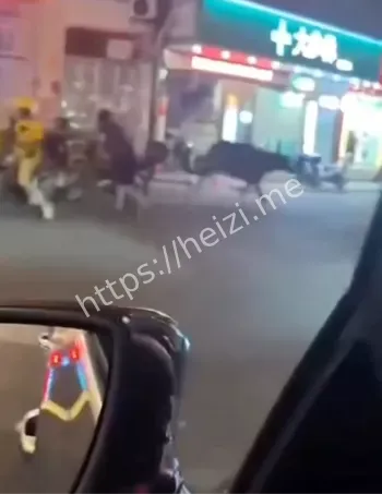 水牛乱窜撞伤