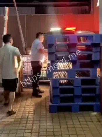 民警击毙水牛