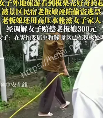 游客捡板栗壳