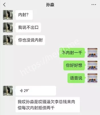 与李总肉偿
