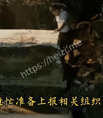 背后真相