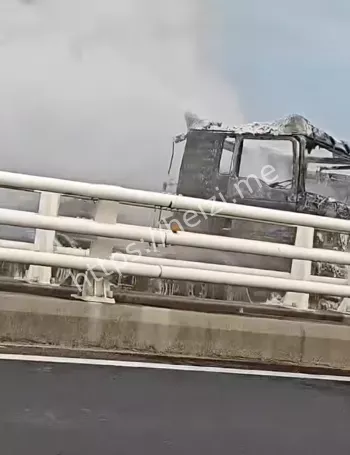 交通事故责任