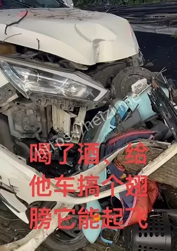 酒驾撞树电杆