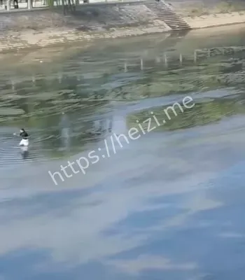 剧情反转