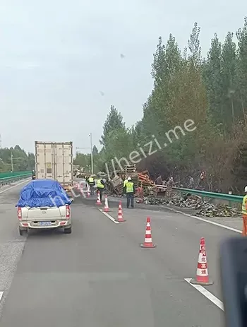 吃瓜心惊