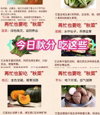 秋分食物养生