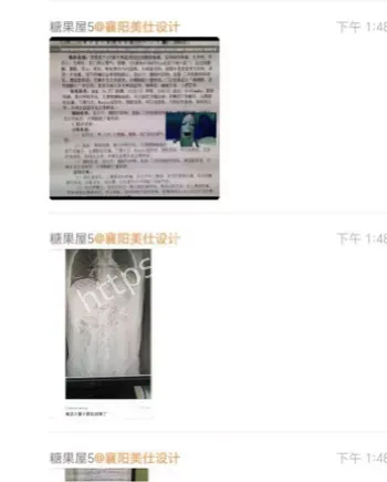 直肠藏30cm茄子