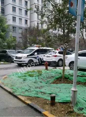 情感问题