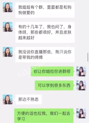 金毛飞儿