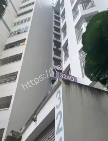 新加坡双尸案