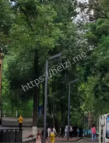 富学楼图书馆厕所上吊事件