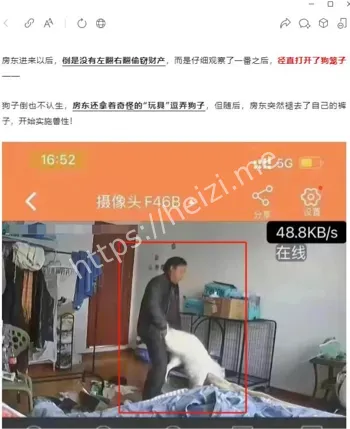 监控辣眼画面曝光