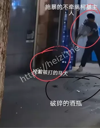 拴绳大狗酒瓶事件