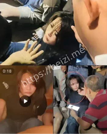 阮依豪冯静100万美金不拿