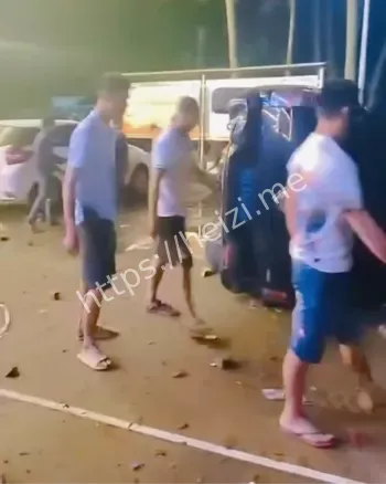 私砍槟榔树事件