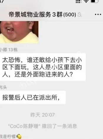 复合弓深夜虐猫