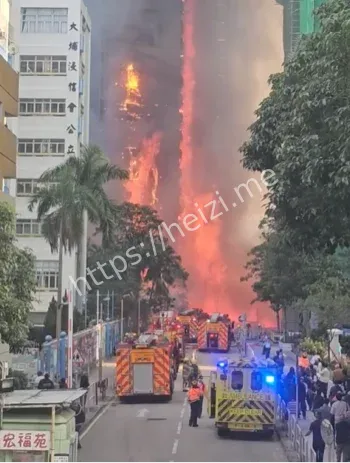 大埔棚架火灾起火原因