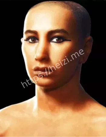 少年法老残疾报告