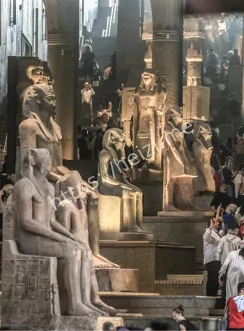 少年法老残疾报告