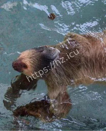 南渡江水鬼故事