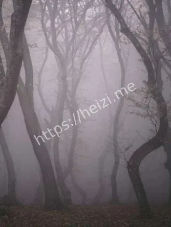 南京戴笠楼冤魂传说