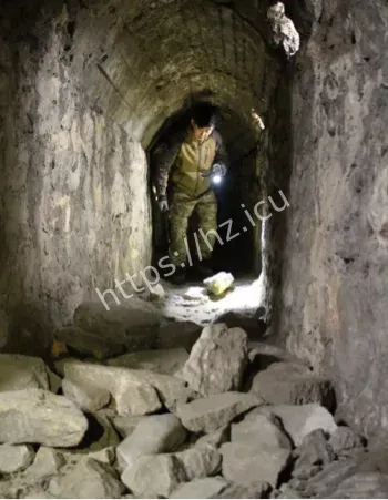 秦岭神树诡异事件