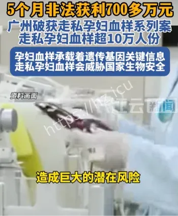 广州海关破获大案