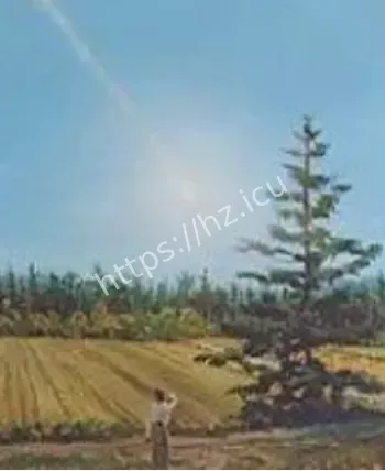 火球蘑菇云事件