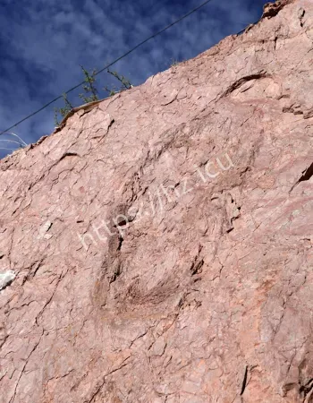 惊现神秘巨型大脚印